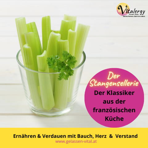 Stangensellerie französischer Klassiker
