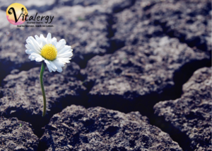 Darmreinigung ist wichtig, sowie jede Blume ein gepflegtes Blumenbeet braucht.