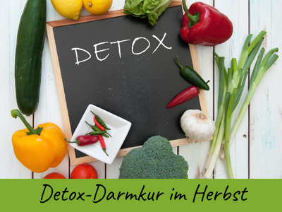Die Detox-Darmkur ist wie ein Wochenendseminar – nur verteilen wir Wissen und Umsetzung über drei Wochen. Du erhältst alle Unterlagen und Rezepte per E-Mail, planst deine persönlichen Detox-Tage und wirst liebevoll begleitet – per E-Mail, Zoom und in einer WhatsApp-Gruppe.